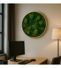 Moss Yuvarlak Sıva Üstü 60 Cm Aydınlatma