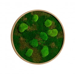 Moss Yuvarlak Sıva Üstü 60 Cm Aydınlatma