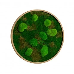 Moss Yuvarlak Sıva Üstü 60 Cm Aydınlatma