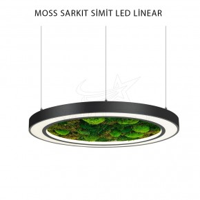 Moss Sarkıt 80 Cm Simit LED Linear Aydınlatma