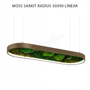Moss Sarkıt Radius 30x90 Cm LED Linear