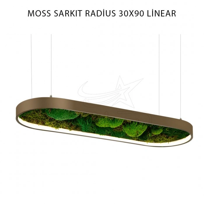 Moss Sarkıt Radius 30x90 Cm LED Linear