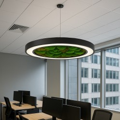 Moss Sarkıt 80 Cm Simit LED Linear Aydınlatma