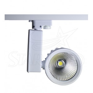 40 watt Philips LED Eaglerise Trafolu Ray Spot